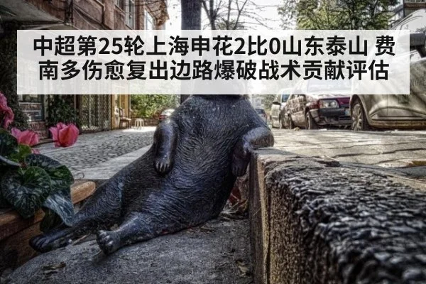 中超第25轮上海申花2比0山东泰山 费南多伤愈复出边路爆破战术贡献评估 | OUBAO SPORTS